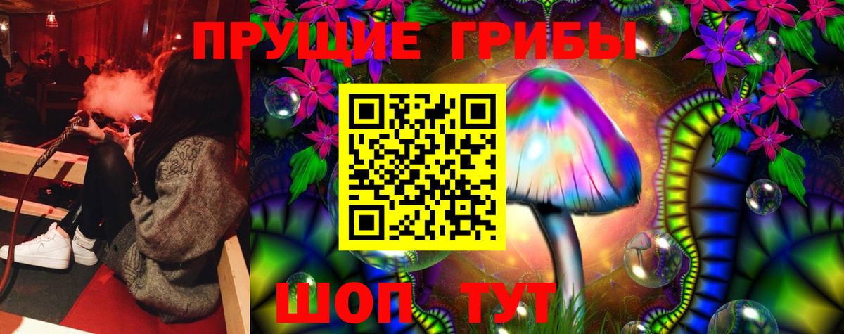 Псилоцибиновые грибы прущие грибы Кашира