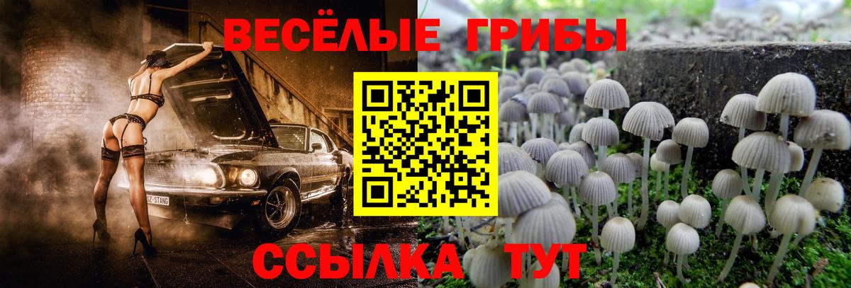 Псилоцибиновые грибы Psilocybine cubensis  Псилоцибиновые грибы ЛСД  Кашира  Вход с VPN 